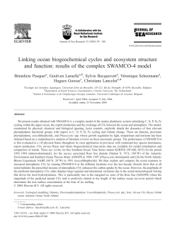 Linking ocean biogeochemical cycles and ecosystem structure