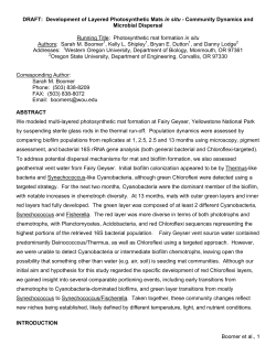 Development of Layered Photosynthetic Mats