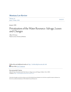 Privatization of the Water Resource