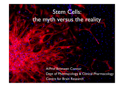 Stem Cells: Ste Ce s: the myth versus the reality