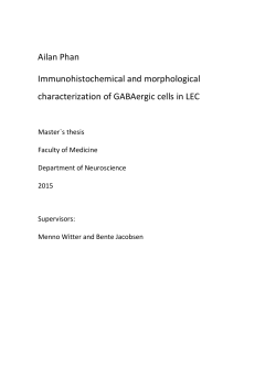 Ailan Phan Immunohistochemical and morphological