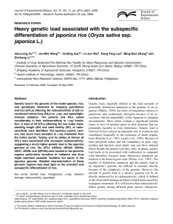 Heavy genetic load associated with the