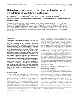 UniPathway: a resource for the exploration and