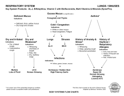 respiratory system lungs / sinuses
