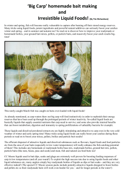 Homemade Bait Making and Irresistible Liquid Foods for