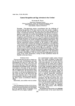 Gamete Recognition and Egg Activation in Sea Urchins` • From the