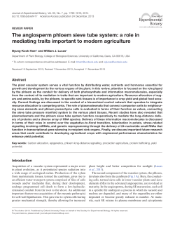 The angiosperm phloem sieve tube system: a