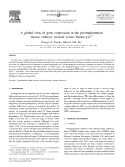 A global view of gene expression in the preimplantation mouse