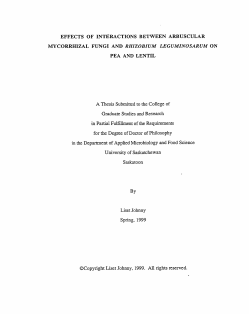 effects of interactions between arbuscular pea and lente