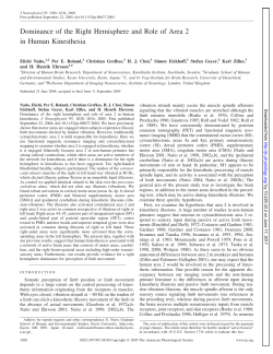 Dominance of the Right Hemisphere and Role of Area 2 in Human