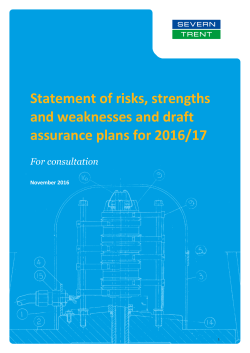 Statement of risks, strengths and weaknesses and draft assurance