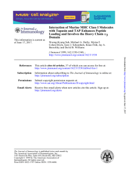 Domain 3 &alpha; Loading and Involves the Heavy Chain with Tapasin