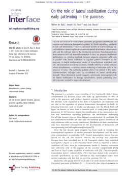 On the role of lateral stabilization during early patterning in the