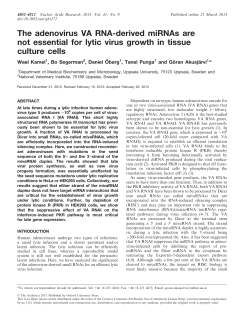 The adenovirus VA RNA-derived miRNAs are not essential for lytic