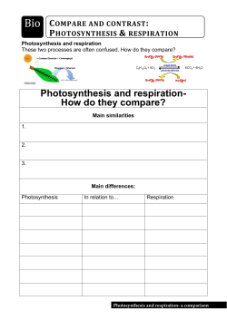 Photosynthesis and respiration- How do they compare?
