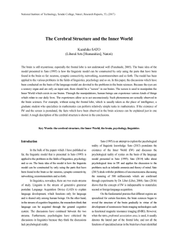 The Cerebral Structure and the Inner World