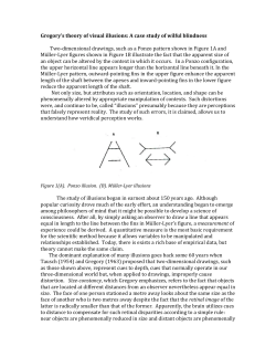 Gregory`s theory of visual illusions: A case study of wilful blindness