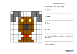 Area and Perimeter Pictures
