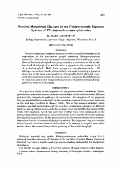 System of Rhodopseudomonas spheroides