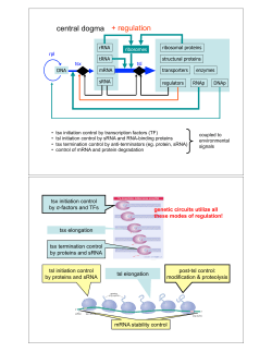central dogma + regulation