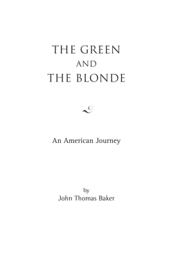 Read an Excerpt