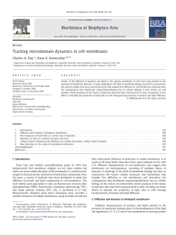 Tracking microdomain dynamics in cell membranes