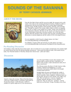 sounds of the savanna - Terry Catas&uacute;s Jennings