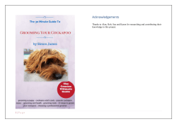The 30 Minute Guide to Grooming your Cockapoo