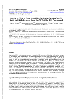 Binding to PCNA in Euryarchaeal DNA Replication Requires Two