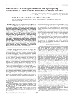 Equilibrium Dialyzer for use in finding Differential ATP