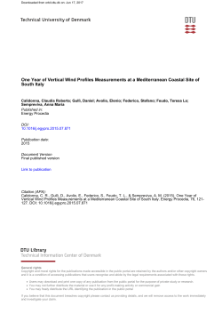 One Year of Vertical Wind Profiles Measurements at a