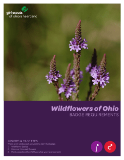 Junior/Cadette Patch Program - Girl Scouts of Ohio`s Heartland