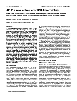 AFLP: a new technique for DNA fingerprinting