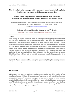 Novel nucleic acid analogs with a chimeric phosphinate / phosphate