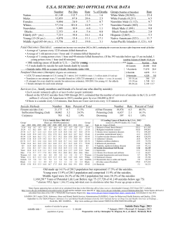 usa suicide: 2013 official final data