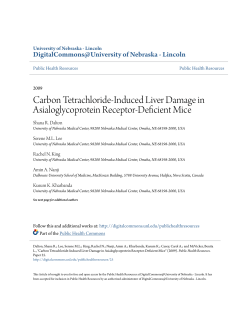 Carbon Tetrachloride-Induced Liver Damage in Asialoglycoprotein