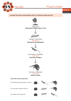 Food chain - Pest Tales