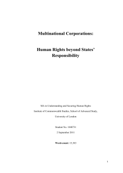 Multinational Corporations: Human Rights beyond - SAS