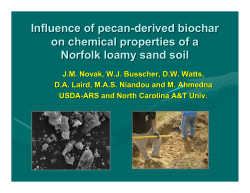 Influence of pecan-derived biochar on chemical properties of a