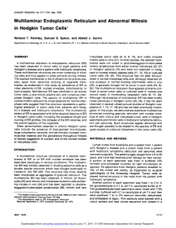 Multilaminar Endoplasmic Reticulum and Abnormal Mitosis in