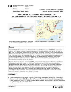 Recovery Potential Assessment of Silver Shiner