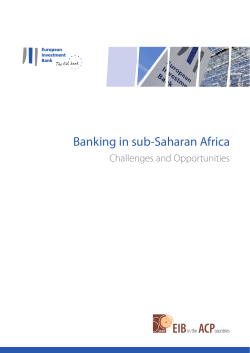 Banking in sub-Saharan Africa - Challenges and Opportunities