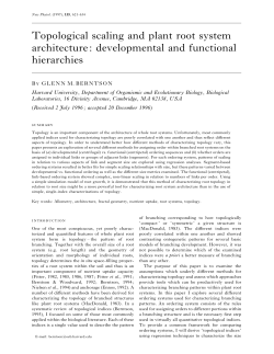 Topological scaling and plant root system architecture