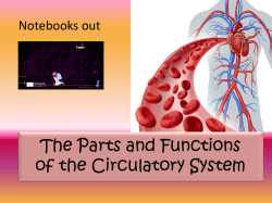 The Parts and Functions of the Circulatory System