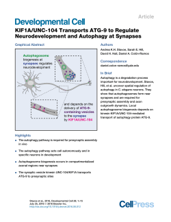 KIF1A/UNC-104 Transports ATG-9 to Regulate Neurodevelopment
