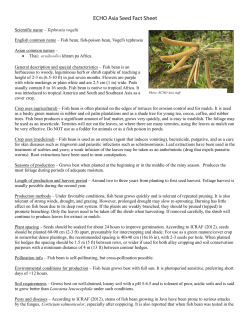 Scientific name – Tephrosia vogelii English common name – Fish