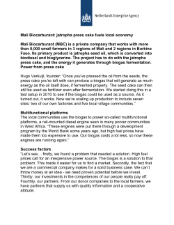 Mali Biocarburant: jatropha press cake fuels local economy Mali