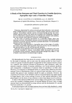 A Study of the Esterases and Their Function in