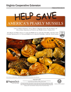 america`s pearly mussels