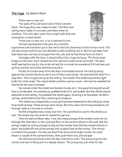 The Cage by Martin Raim